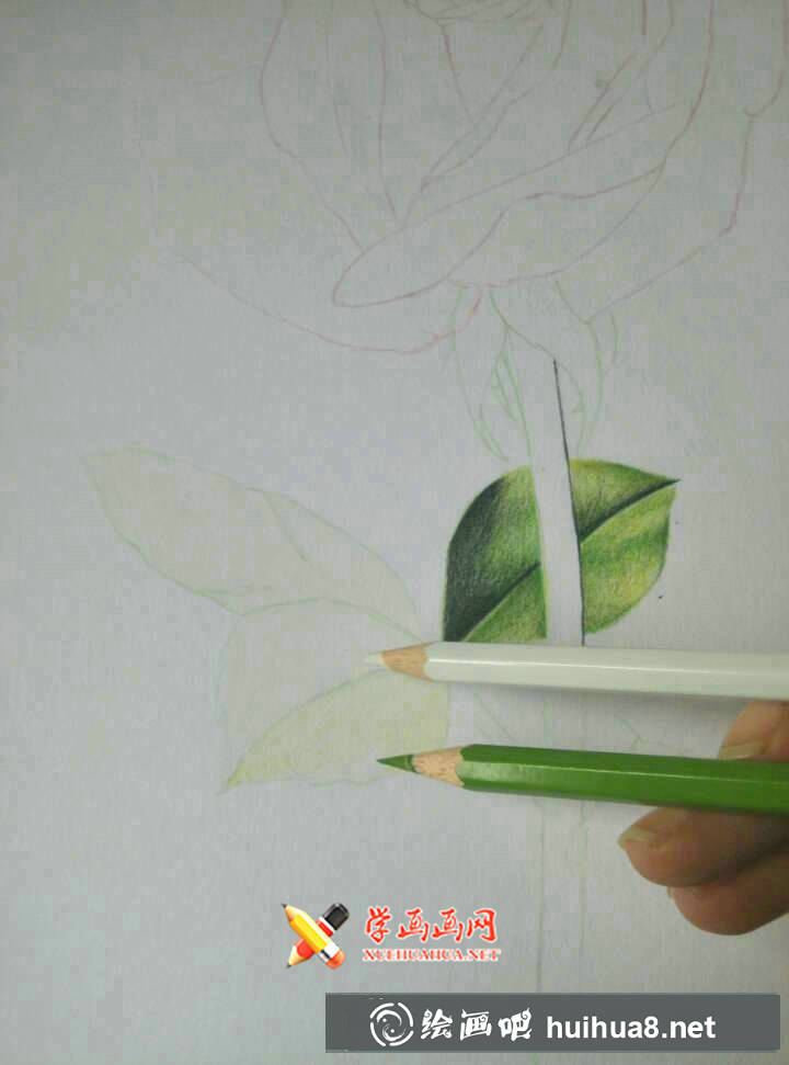 彩鉛玫瑰花的畫法