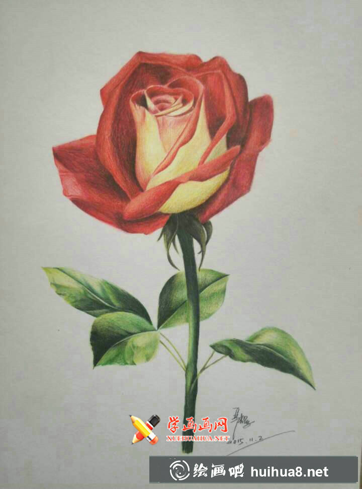 彩鉛玫瑰花教程