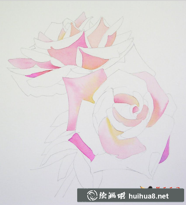 芭芭拉·福克斯粉色玫瑰花水粉畫圖解教程1