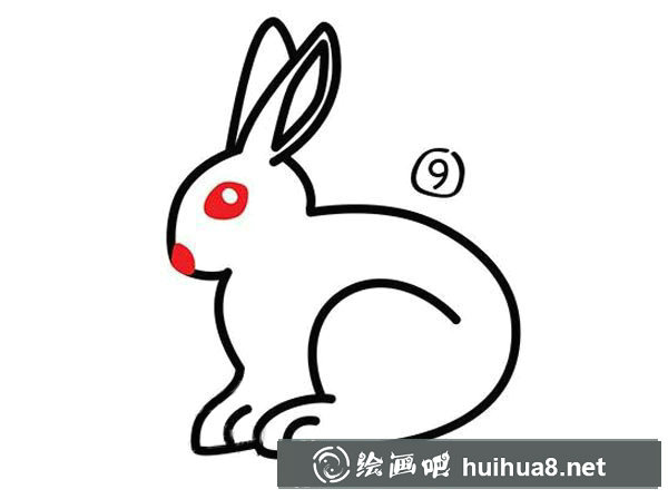 兔子