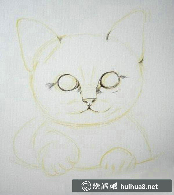 貓咪