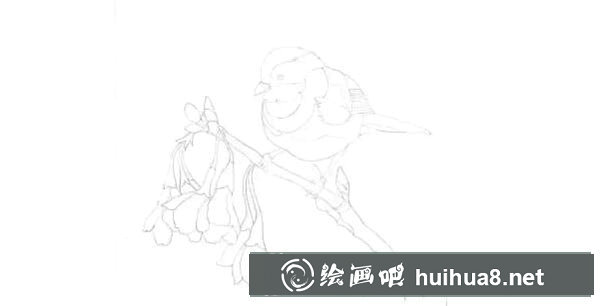 彩鉛鳥怎么畫