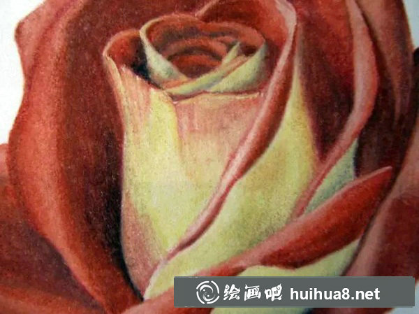 彩鉛畫 紅玫瑰24