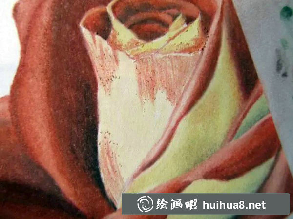 彩鉛畫 紅玫瑰22
