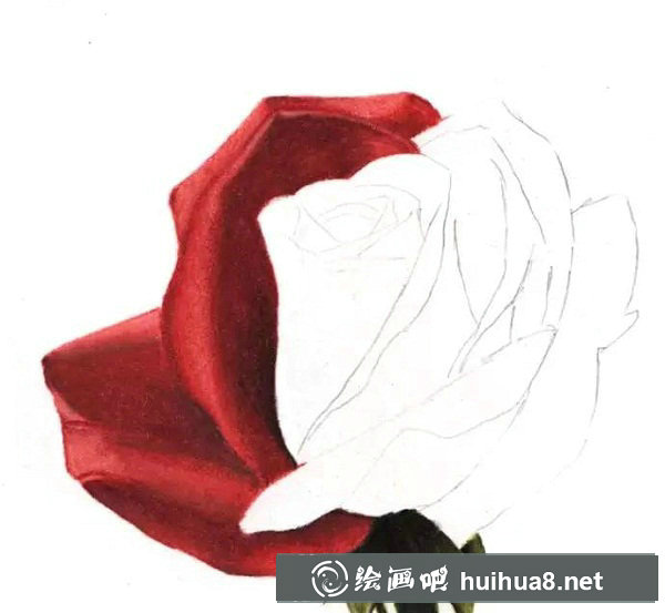 彩鉛畫 紅玫瑰20