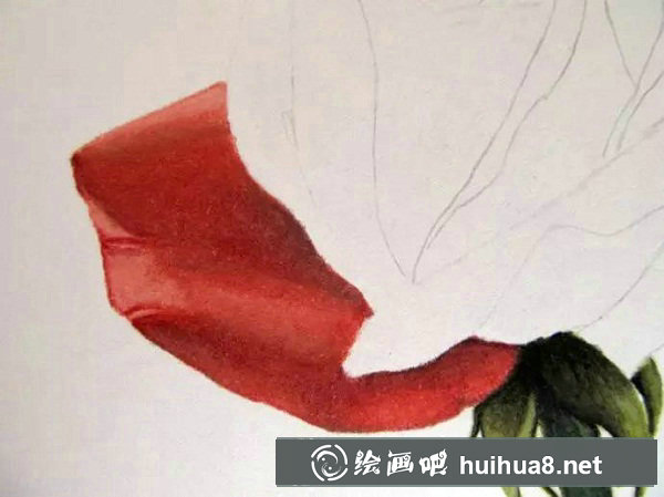 彩鉛畫 紅玫瑰19