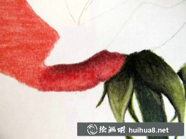 彩鉛畫