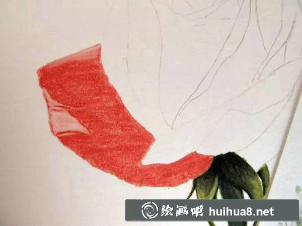 紅玫瑰