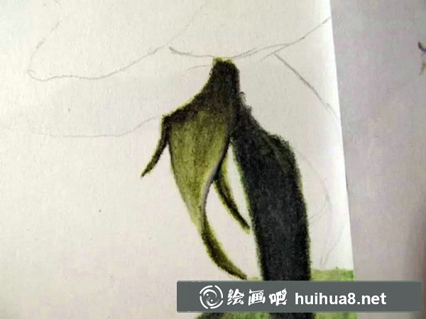 紅玫瑰彩鉛畫教程