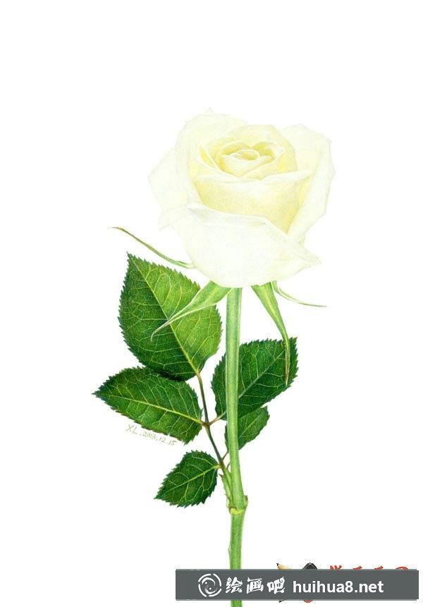 彩鉛玫瑰花
