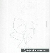 彩鉛玫瑰繪制教程圖解