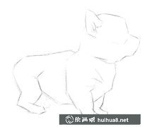萌萌噠小狗狗素描教程詳細(xì)步驟解析
