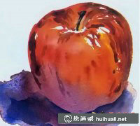 水粉畫(huà)紅蘋(píng)果教程 解剖誘人技法