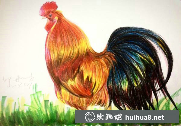 大公雞彩鉛畫(huà)怎么畫(huà)