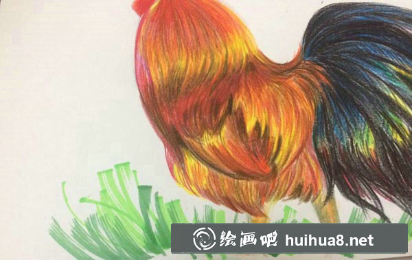 雞彩鉛畫(huà)