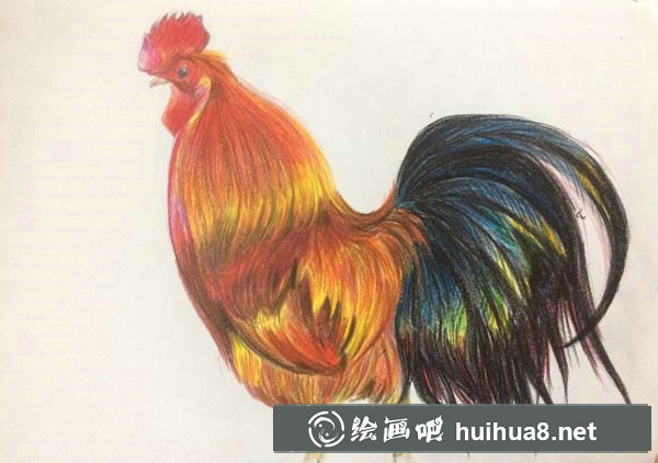 大公雞彩鉛畫(huà)
