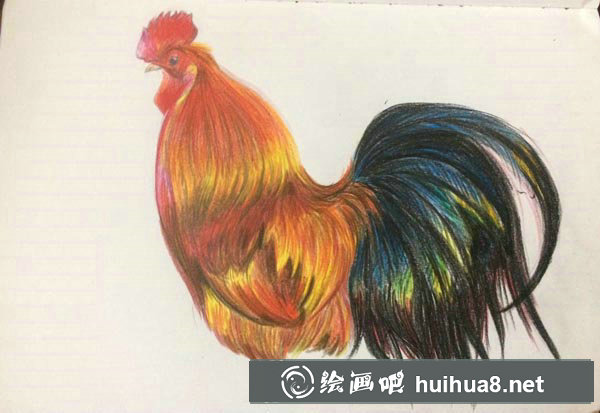 雞