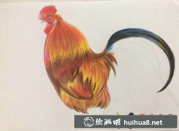 大公雞彩鉛畫(huà)