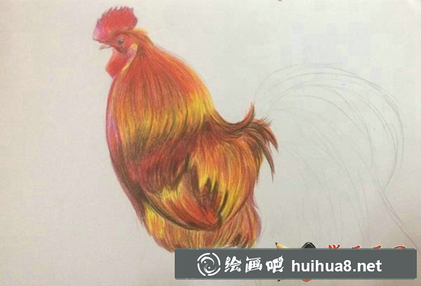 公雞彩鉛畫(huà)
