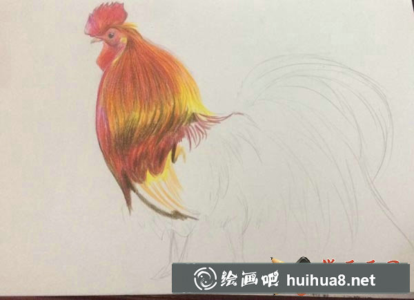 大公雞