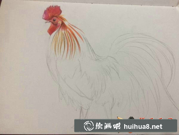 雞