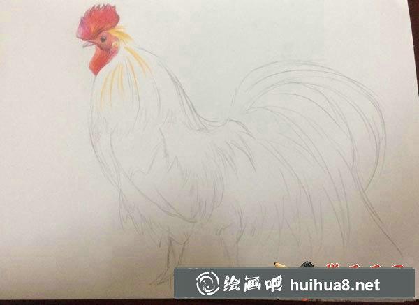 大公雞彩鉛畫(huà)