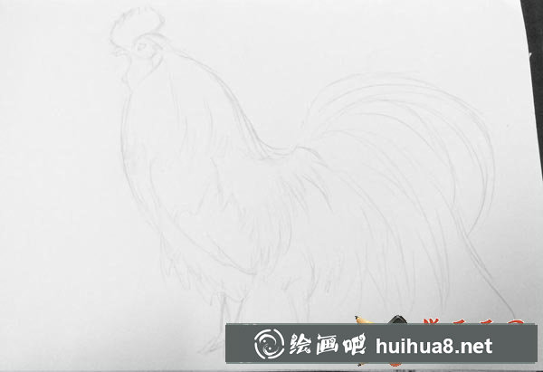 雞公