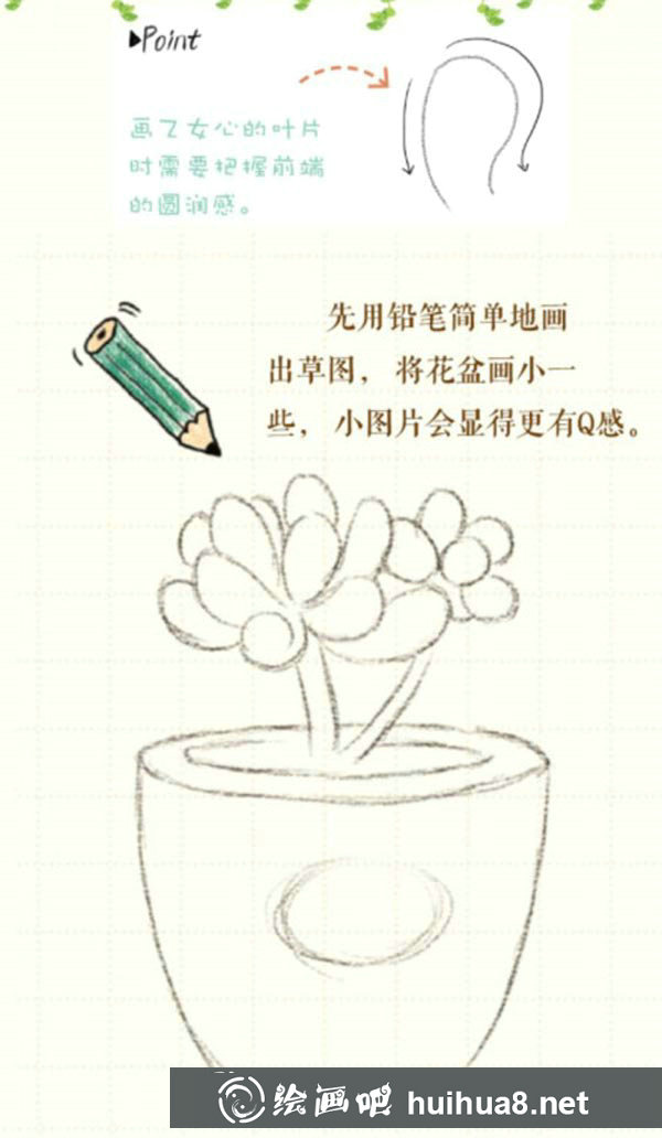 多肉植物