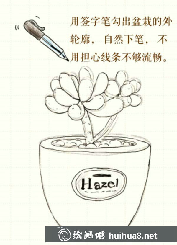 多肉植物盆栽彩鉛畫
