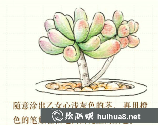 多肉植物盆栽彩鉛畫怎么畫圖解教程