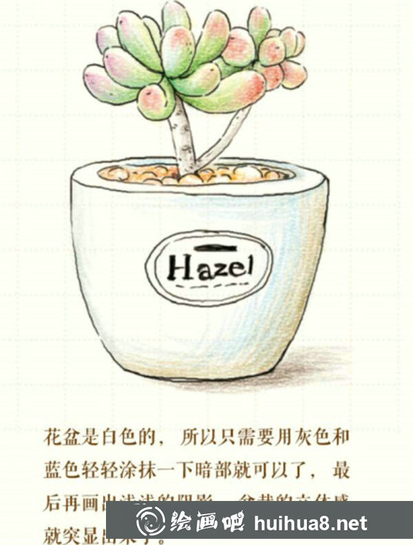 逼真多肉植物盆栽彩鉛畫怎么畫圖解教程