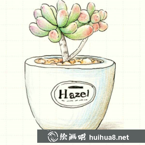 彩鉛畫多肉植物
