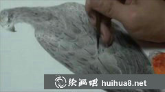 國(guó)畫工筆畫教程：老鷹畫法視頻教學(xué)