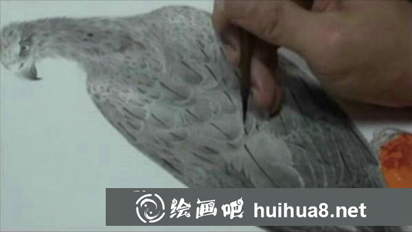 工筆畫老鷹