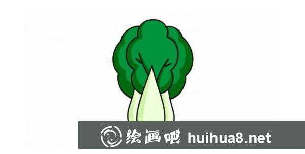 五步驟教你學(xué)會畫大白菜簡筆畫
