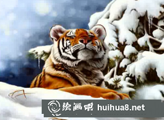 水粉畫老虎教程視頻詳解