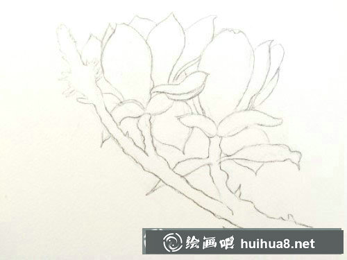紙花手工制作教程