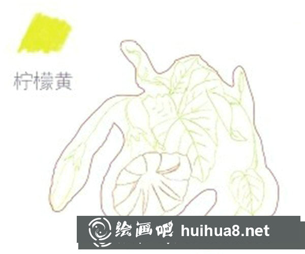 簡單彩鉛牽?；ㄔ趺串?？彩鉛花朵的繪畫步驟