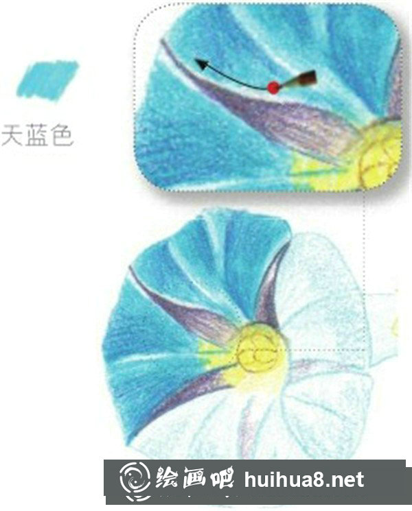 簡單彩鉛牽?；ㄔ趺串?？彩鉛花朵的繪畫步驟
