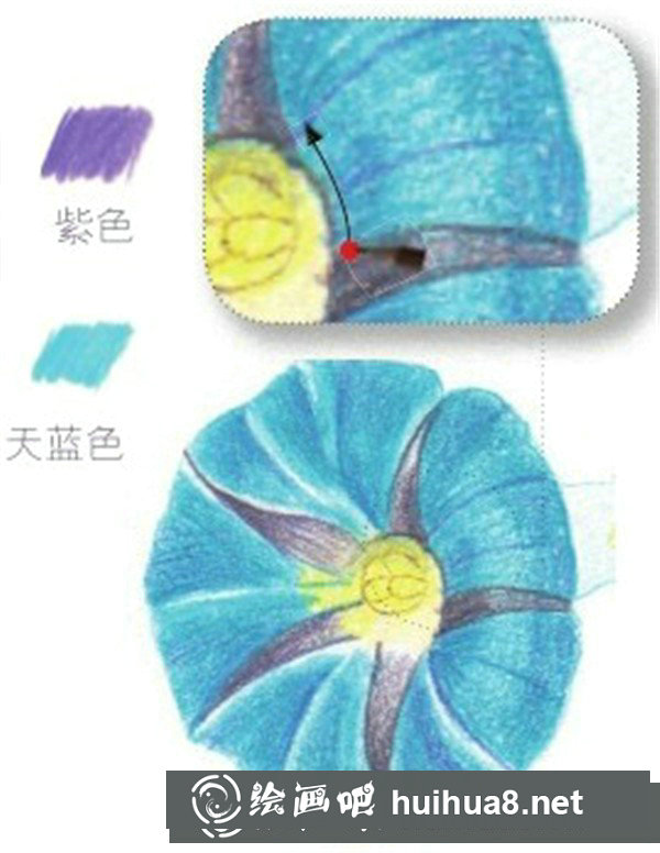 簡單彩鉛牽?；ㄔ趺串嫞坎抒U花朵的繪畫步驟