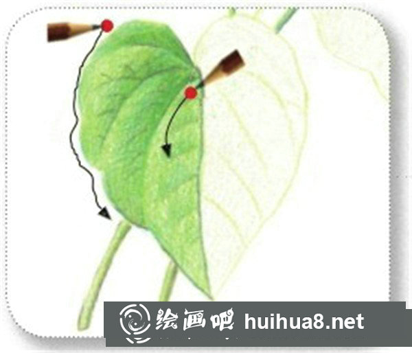 簡單彩鉛牽?；ㄔ趺串?？彩鉛花朵的繪畫步驟