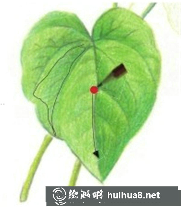 簡單彩鉛牽?；ㄔ趺串嫞坎抒U花朵的繪畫步驟