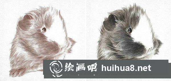 彩鉛畫寫實動物教程