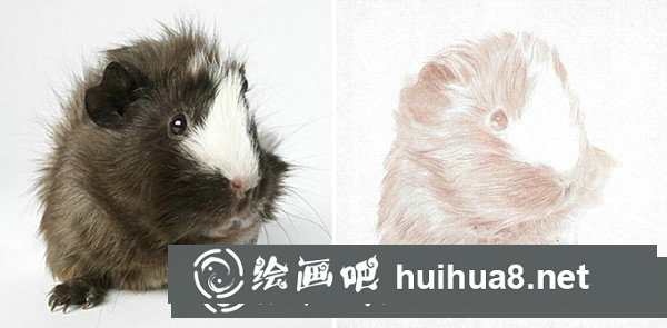 彩鉛畫寫實技法