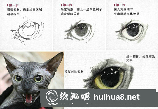彩鉛畫寫實技法