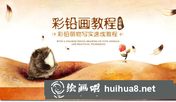 動(dòng)物彩鉛畫(huà)教程