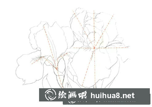 鳶尾如何繪制成精美的水彩畫(huà)？鳶尾花水彩畫(huà)畫(huà)法