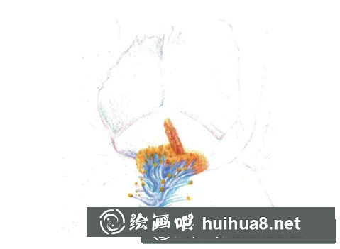 鳶尾如何繪制成精美的水彩畫(huà)？鳶尾花水彩畫(huà)畫(huà)法