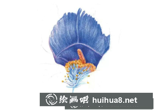 鳶尾如何繪制成精美的水彩畫(huà)？鳶尾花水彩畫(huà)畫(huà)法