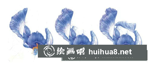 鳶尾如何繪制成精美的水彩畫(huà)？鳶尾花水彩畫(huà)畫(huà)法